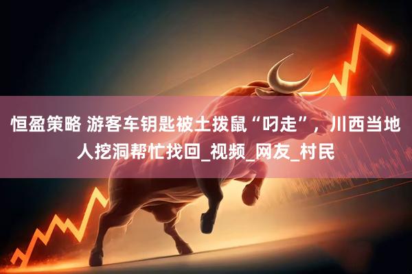 恒盈策略 游客车钥匙被土拨鼠“叼走”，川西当地人挖洞帮忙找回_视频_网友_村民