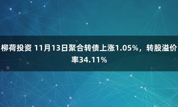 柳荷投资 11月13日聚合转债上涨1.05%，转股溢价率34.11%