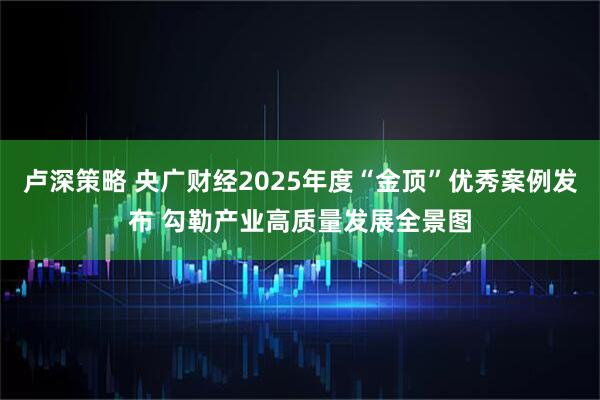 卢深策略 央广财经2025年度“金顶”优秀案例发布 勾勒产业高质量发展全景图