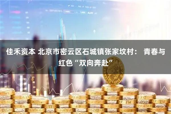 佳禾资本 北京市密云区石城镇张家坟村： 青春与红色“双向奔赴”