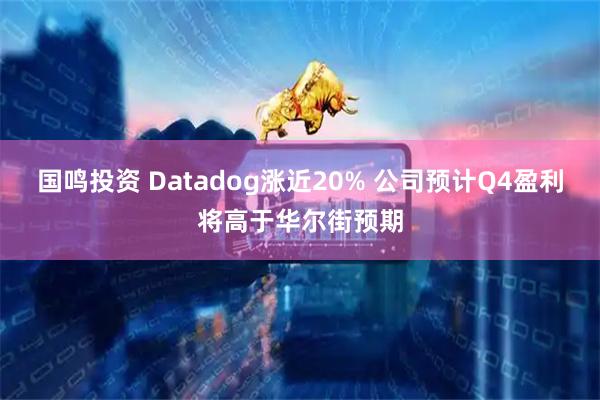 国鸣投资 Datadog涨近20% 公司预计Q4盈利将高于华尔街预期