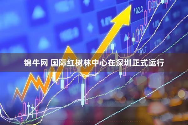 锦牛网 国际红树林中心在深圳正式运行